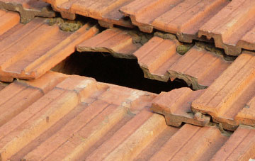 roof repair Saham Hills, Norfolk
